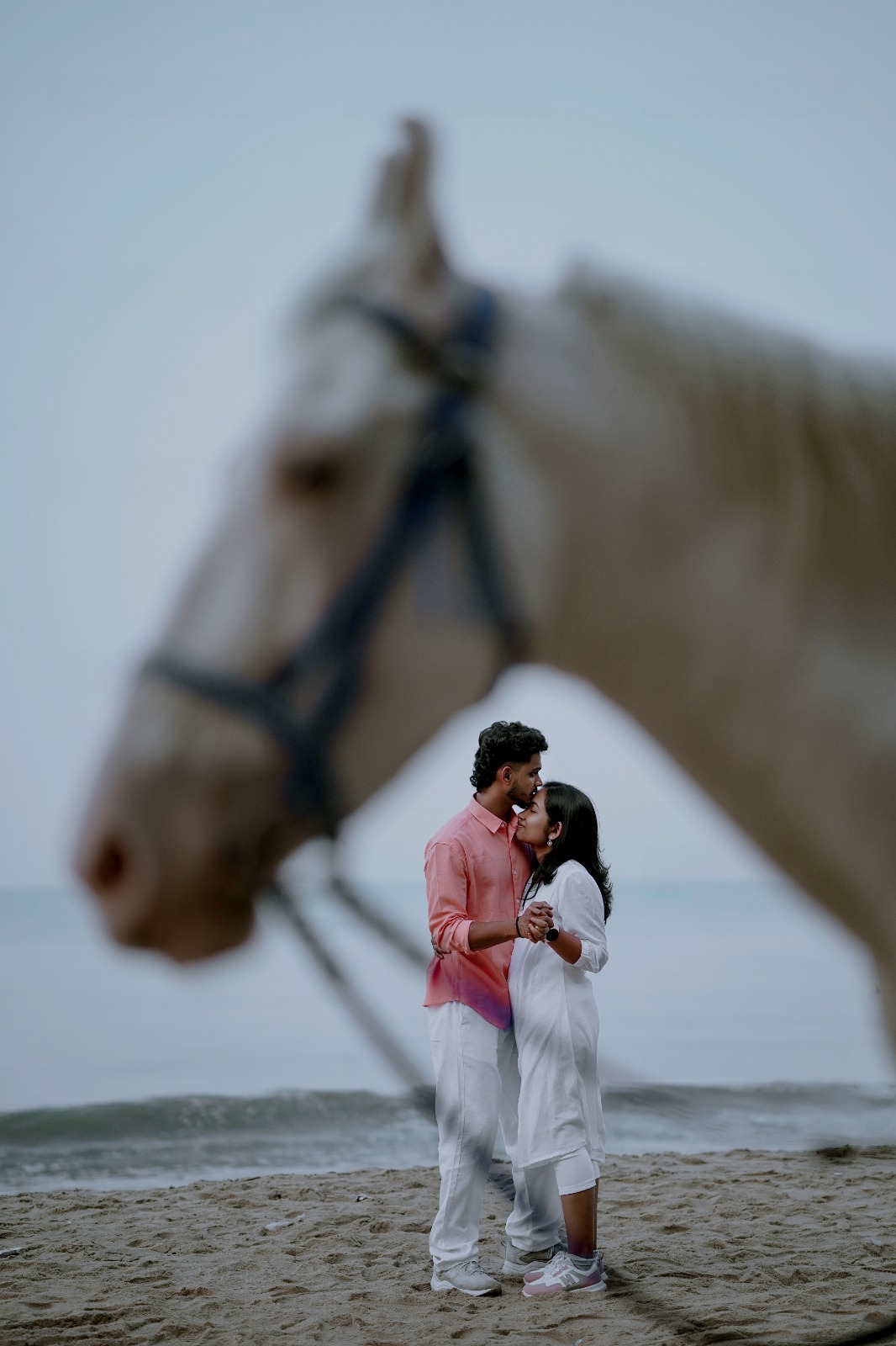 a forest after an apocalypse